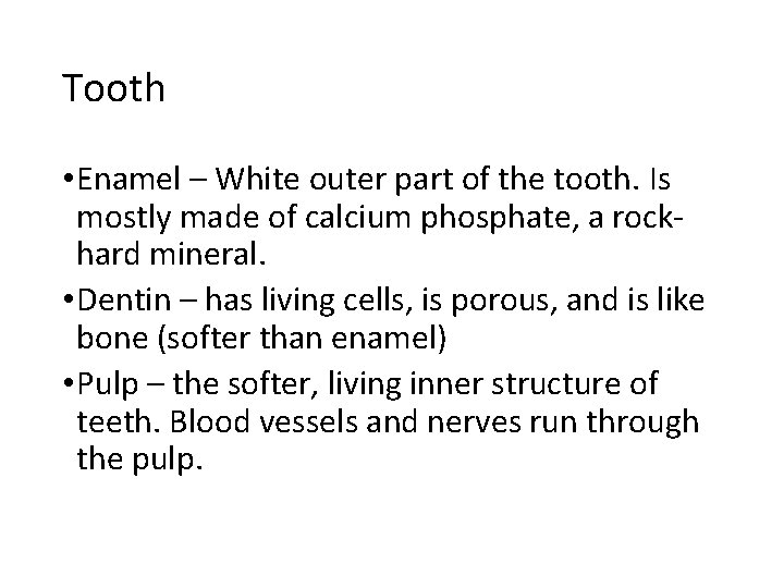 Tooth • Enamel – White outer part of the tooth. Is mostly made of