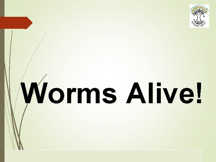 Worms Alive! © Greg Meyer Seminars P/L g. meyer@bigpond. net. au www. permacutluresydneywest. com.