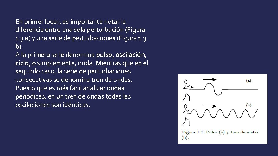 En primer lugar, es importante notar la diferencia entre una sola perturbación (Figura 1.
