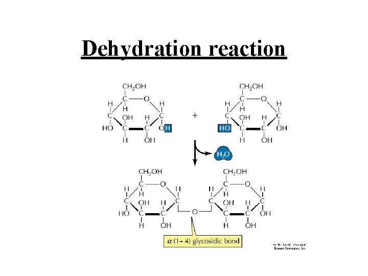 Dehydration reaction 