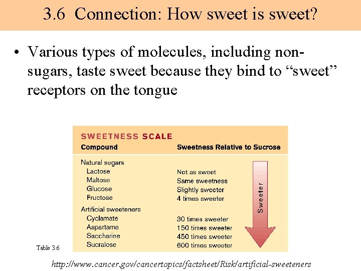 3. 6 Connection: How sweet is sweet? • Various types of molecules, including nonsugars,