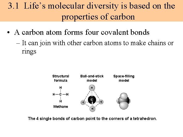 3. 1 Life’s molecular diversity is based on the properties of carbon • A