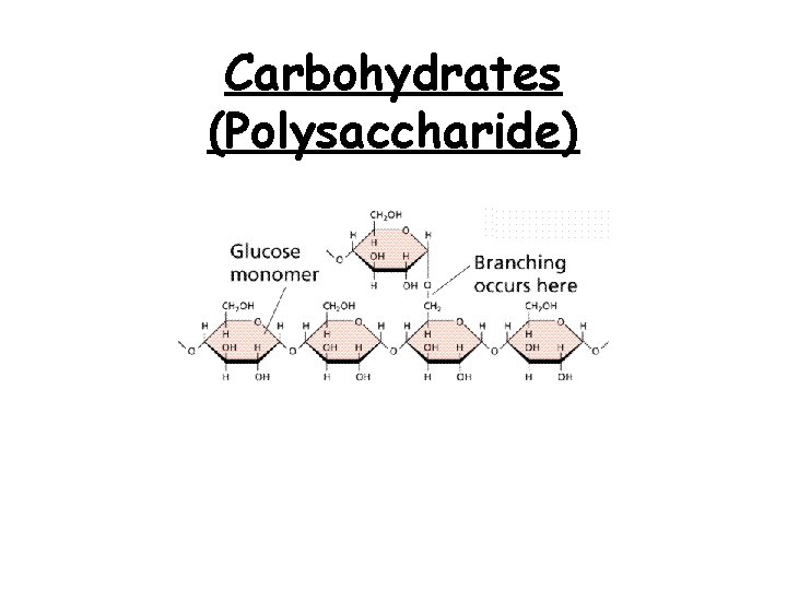 Carbohydrates (Polysaccharide) 