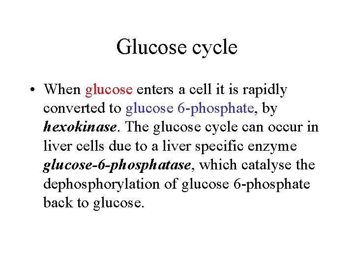 Glucose cycle • When glucose enters a cell it is rapidly converted to glucose