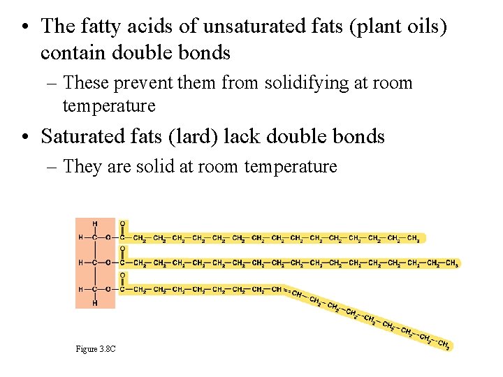  • The fatty acids of unsaturated fats (plant oils) contain double bonds –
