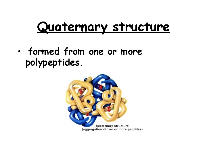 Quaternary structure • formed from one or more polypeptides. 