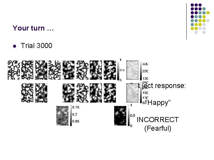 Your turn … l Trial 3000 Subject response: “Happy” INCORRECT (Fearful) 