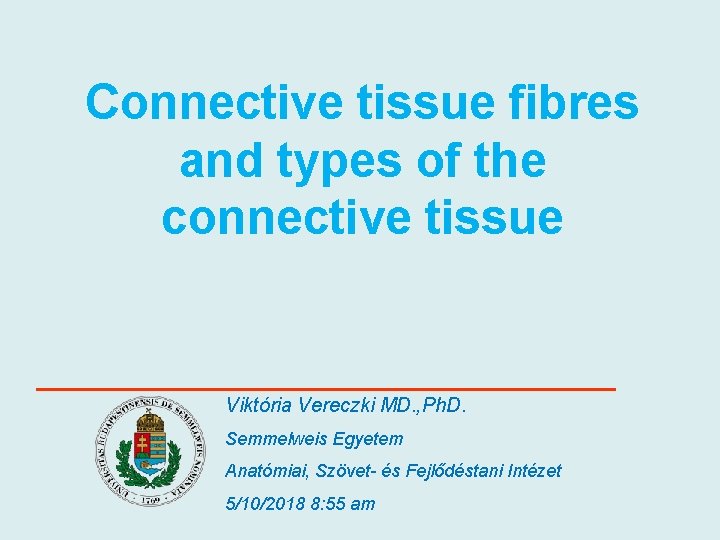 Connective tissue fibres and types of the connective tissue Viktória Vereczki MD. , Ph.