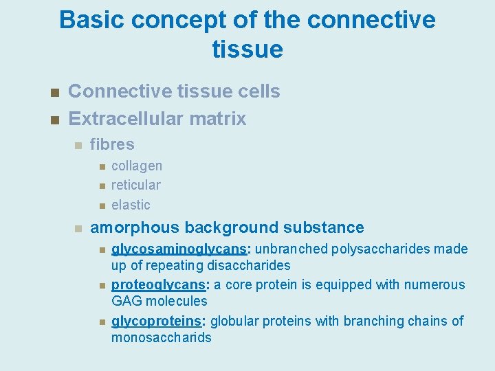 Basic concept of the connective tissue n n Connective tissue cells Extracellular matrix n