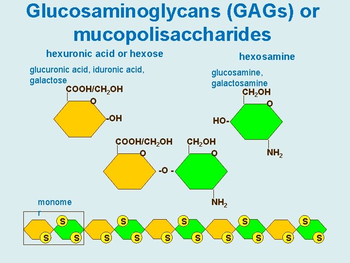 Glucosaminoglycans (GAGs) or mucopolisaccharides hexuronic acid or hexose hexosamine glucuronic acid, iduronic acid, galactose