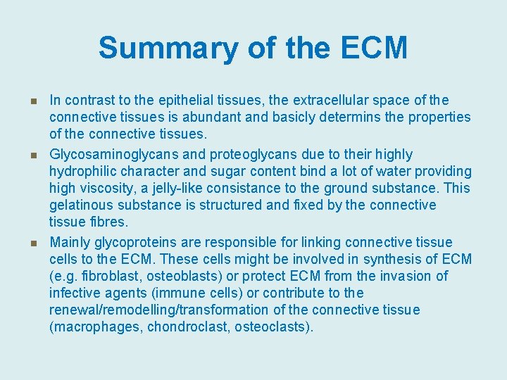 Summary of the ECM n n n In contrast to the epithelial tissues, the