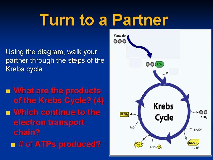 Turn to a Partner Using the diagram, walk your partner through the steps of
