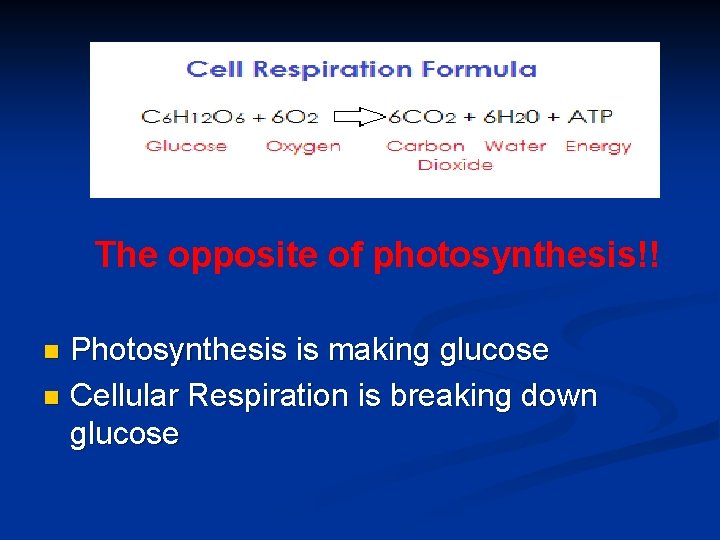 The opposite of photosynthesis!! Photosynthesis is making glucose n Cellular Respiration is breaking down