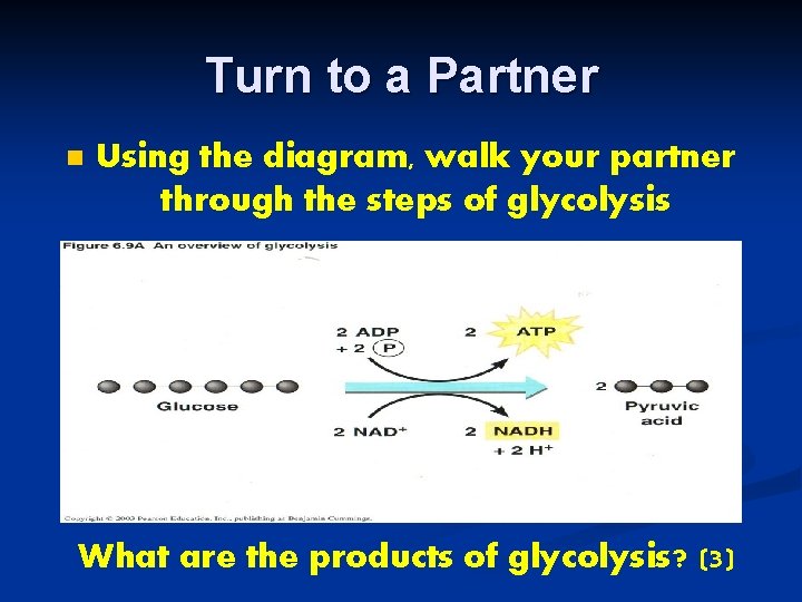Turn to a Partner n Using the diagram, walk your partner through the steps