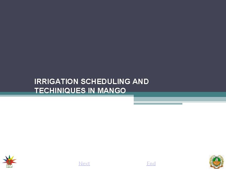 IRRIGATION SCHEDULING AND TECHINIQUES IN MANGO Next End 