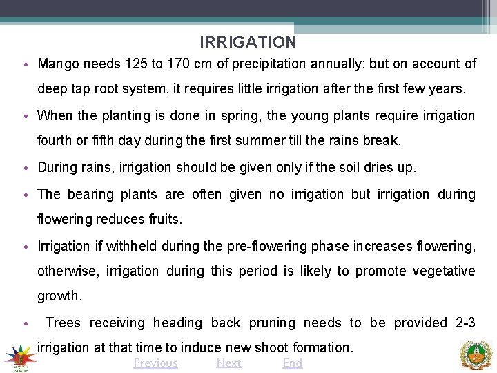 IRRIGATION • Mango needs 125 to 170 cm of precipitation annually; but on account