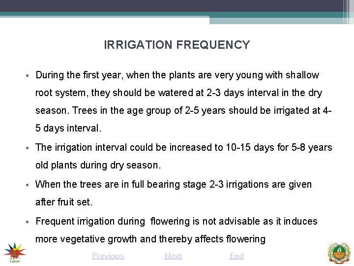 IRRIGATION FREQUENCY • During the first year, when the plants are very young with