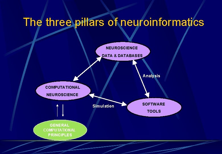 The three pillars of neuroinformatics NEUROSCIENCE DATA & DATABASES Analysis COMPUTATIONAL NEUROSCIENCE Simulation SOFTWARE The three pillars of neuroinformatics NEUROSCIENCE DATA & DATABASES Analysis COMPUTATIONAL NEUROSCIENCE Simulation SOFTWARE