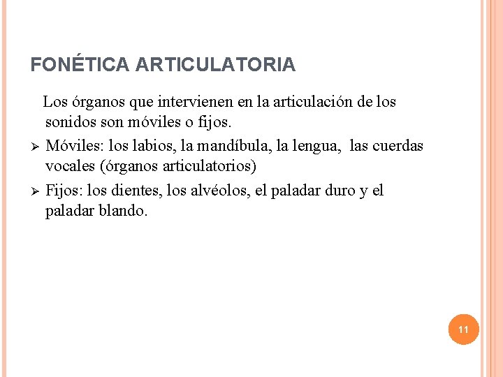 FONÉTICA ARTICULATORIA Los órganos que intervienen en la articulación de los sonidos son móviles