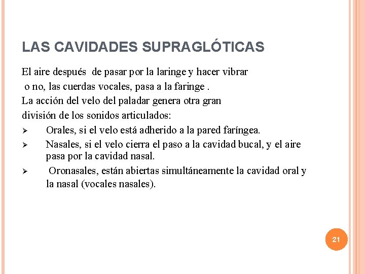 LAS CAVIDADES SUPRAGLÓTICAS El aire después de pasar por la laringe y hacer vibrar