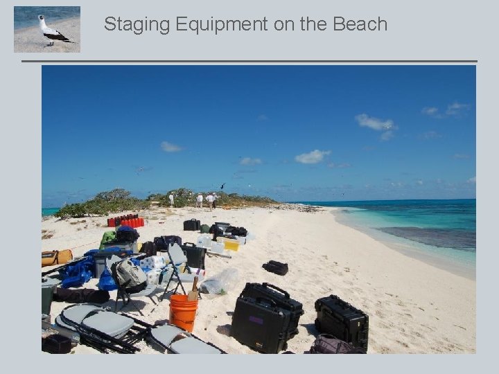 Staging Equipment on the Beach 