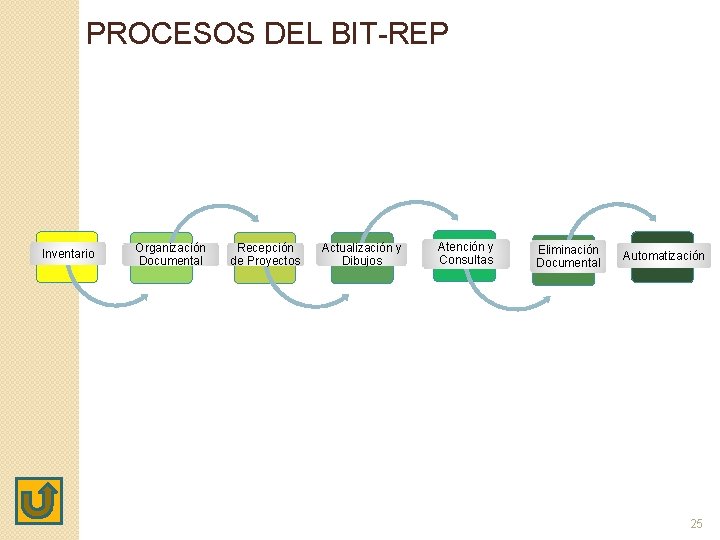 PROCESOS DEL BIT-REP Inventario Organización Documental Recepción de Proyectos Actualización y Dibujos Atención y