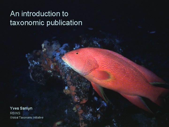 An introduction to taxonomic publication Yves Samyn RBINS Global Taxonomy Initiative 
