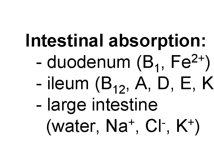 Intestinal absorption: 2+ - duodenum (B 1, Fe ) - ileum (B 12, A,