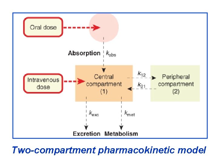 Two-compartment pharmacokinetic model Two-compartment pharmacokinetic model