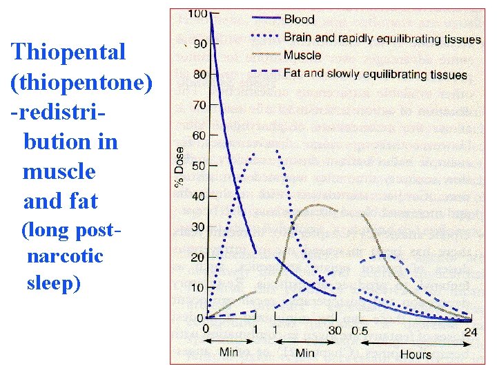 Thiopental (thiopentone) -redistribution in muscle and fat (long postnarcotic sleep) 