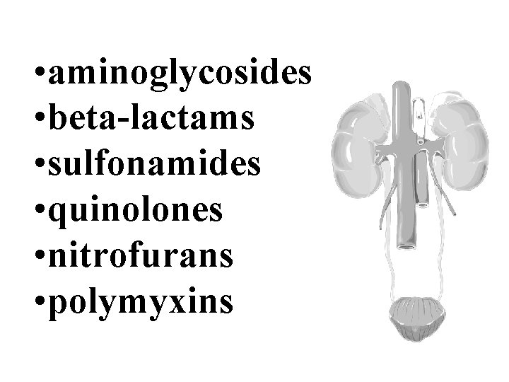 • aminoglycosides • beta-lactams • sulfonamides • quinolones • nitrofurans • polymyxins • aminoglycosides • beta-lactams • sulfonamides • quinolones • nitrofurans • polymyxins