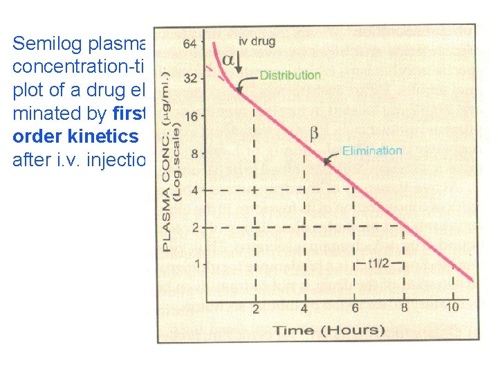 Semilog plasma concentration-time plot of a drug eliminated by first order kinetics after i.