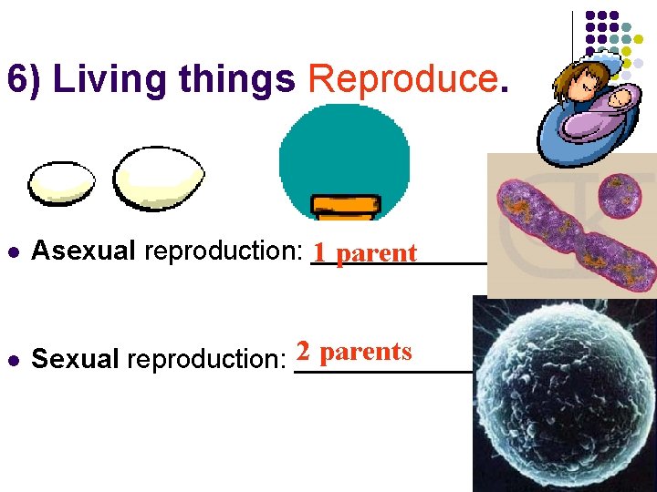 6) Living things Reproduce. l Asexual reproduction: ___________. 1 parent l 2 parents Sexual