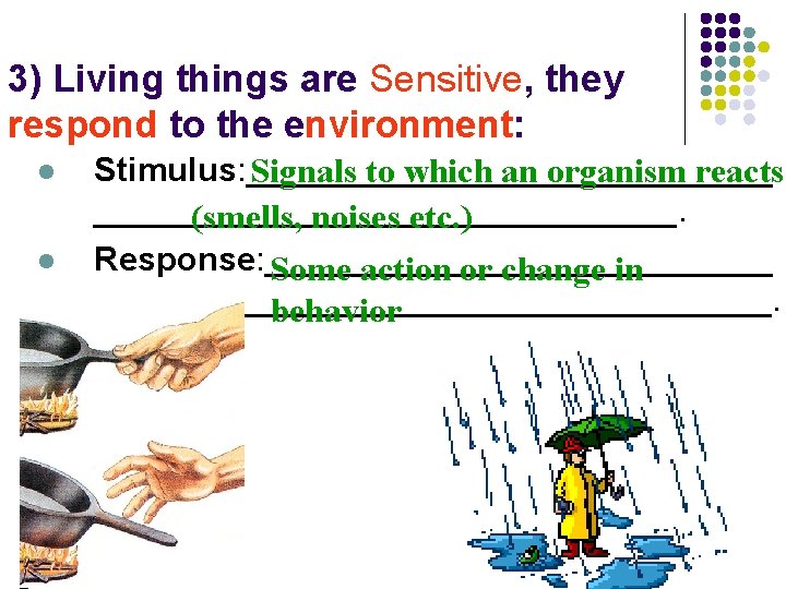 3) Living things are Sensitive, they respond to the environment: l l Stimulus: ______________
