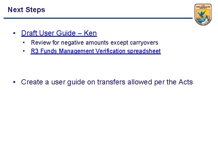 Next Steps • Draft User Guide – Ken • Review for negative amounts except