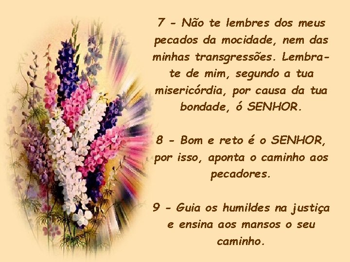 7 - Não te lembres dos meus pecados da mocidade, nem das minhas transgressões. 7 - Não te lembres dos meus pecados da mocidade, nem das minhas transgressões.