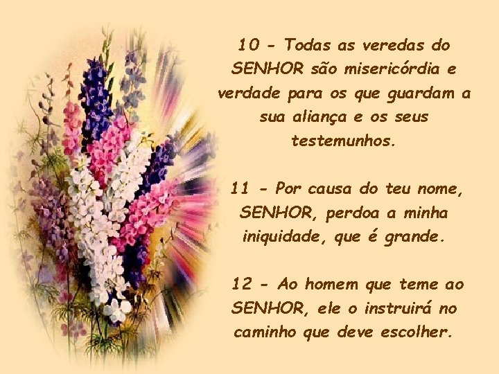 10 - Todas as veredas do SENHOR são misericórdia e verdade para os que 10 - Todas as veredas do SENHOR são misericórdia e verdade para os que