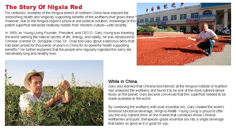 The Story Of Nigxia Red For centuries, residents of the Ningxia district of northern