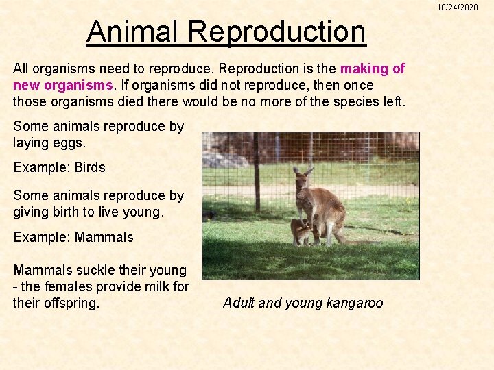 10/24/2020 Animal Reproduction All organisms need to reproduce. Reproduction is the making of new