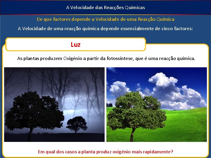 A Velocidade das Reacções Químicas De que factores depende a Velocidade de uma Reacção