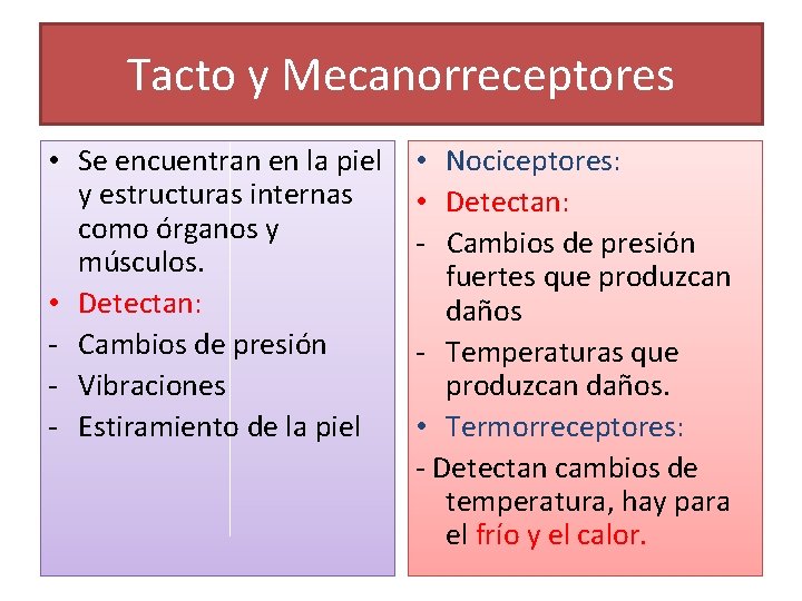 Tacto y Mecanorreceptores • Se encuentran en la piel y estructuras internas como órganos