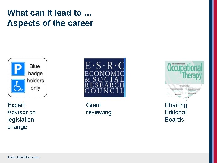 What can it lead to … Aspects of the career Expert Advisor on legislation