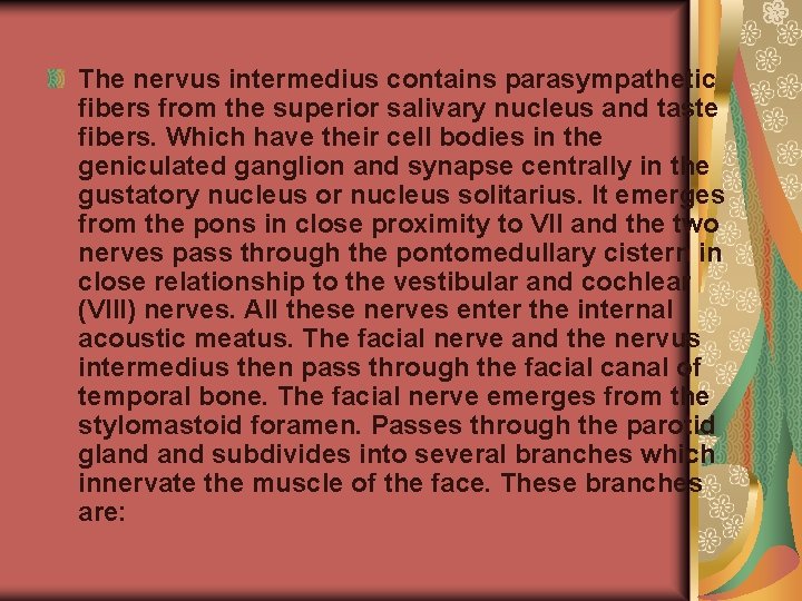 The nervus intermedius contains parasympathetic fibers from the superior salivary nucleus and taste fibers.