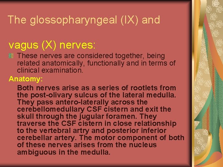 The glossopharyngeal (IX) and vagus (X) nerves: These nerves are considered together, being related
