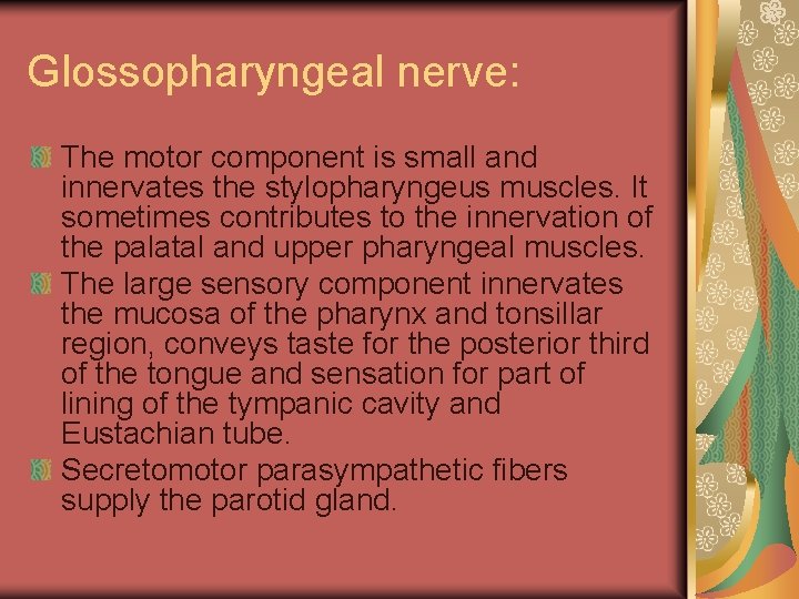 Glossopharyngeal nerve: The motor component is small and innervates the stylopharyngeus muscles. It sometimes