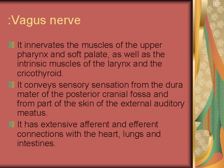 : Vagus nerve It innervates the muscles of the upper pharynx and soft palate,