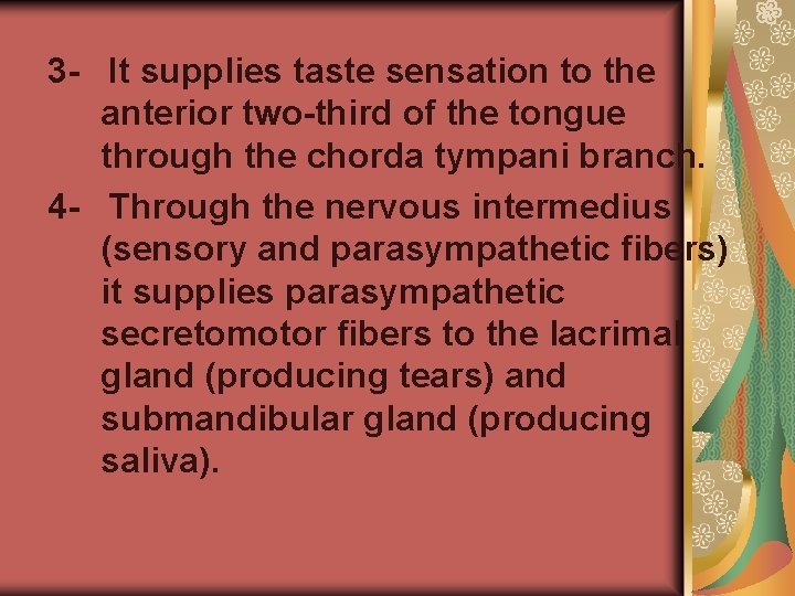 3 - It supplies taste sensation to the anterior two-third of the tongue through