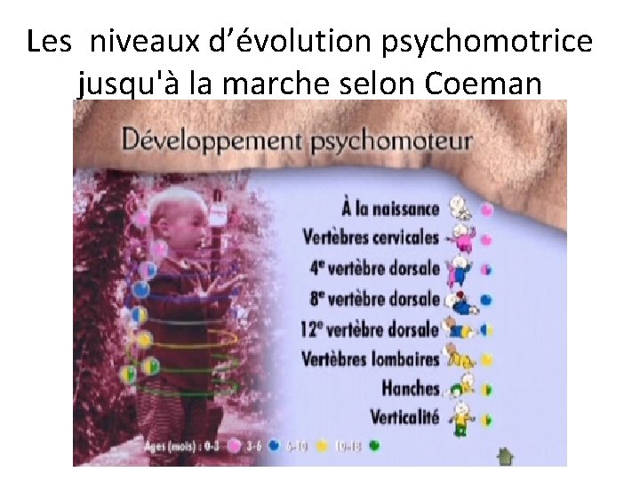 Les niveaux d’évolution psychomotrice jusqu'à la marche selon Coeman 