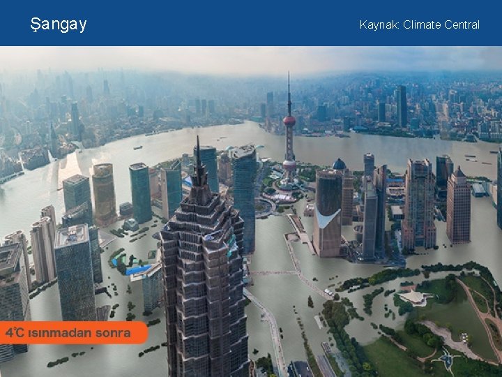 Şangay Kaynak: Climate Central 20 