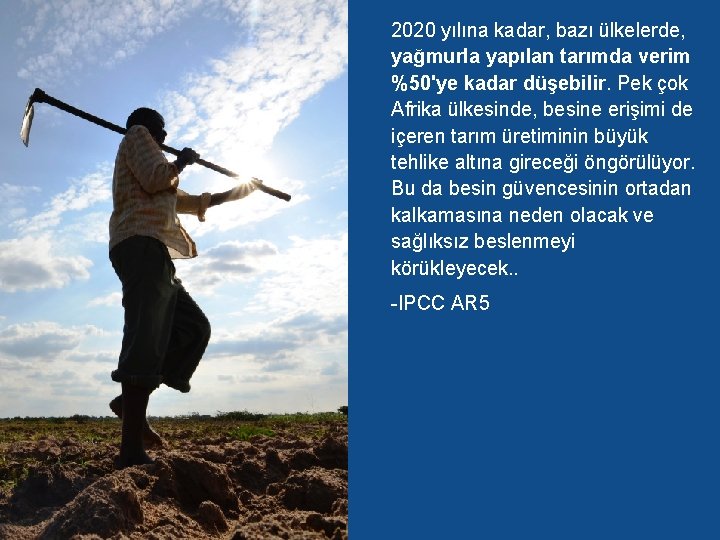 2020 yılına kadar, bazı ülkelerde, yağmurla yapılan tarımda verim %50'ye kadar düşebilir. Pek çok